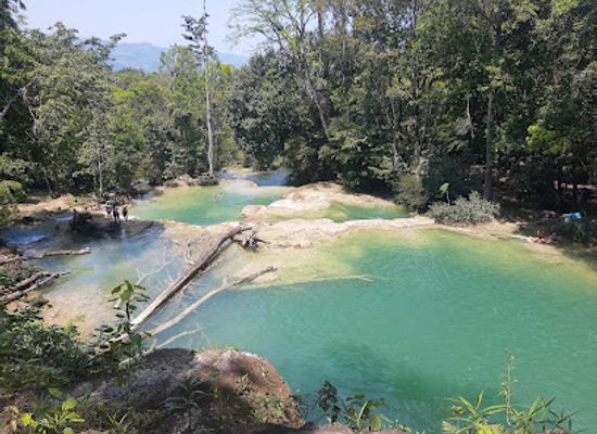 mexico/chiapas/palenque/attraction/minivans-to-the-waterfalls-roberto-barrios