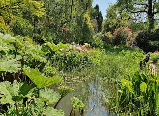united-kingdom/cheshire/attraction/fletcher-moss-botanical-gardens