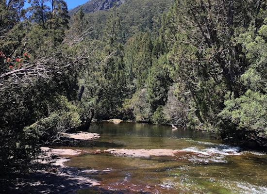 australia/cradle-mountain-lake-st-clair-national-park/attraction/hartnett-falls