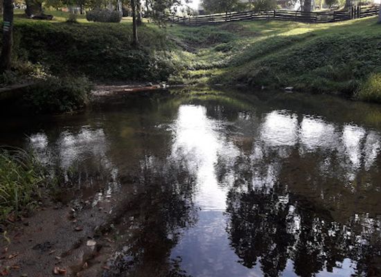 lithuania/dzukija-national-park/attraction/brasta