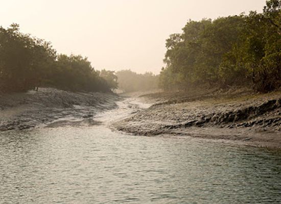 bangladesh/sundarbans-national-park/attraction/ar-natural-place