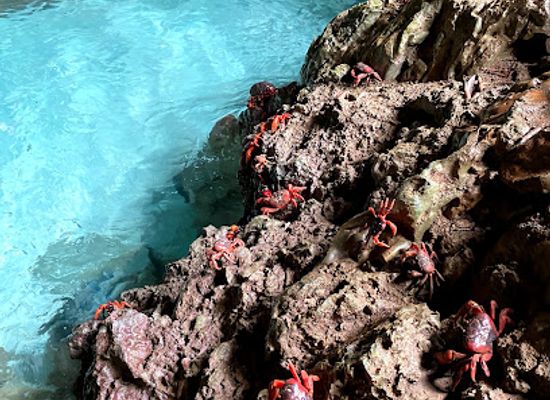 christmas-island/ethel-beach/attraction/the-grotto