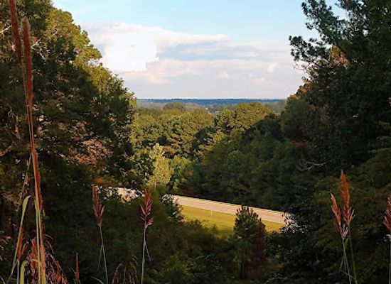 mississippi/the-tennessee-tombigbee-hills/attraction/twentymile-bottom-overlook