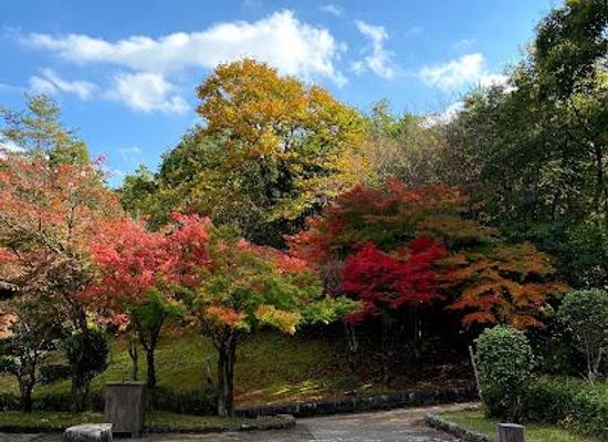 japan/hiroshima-countryside/attraction/kagamiyama-park