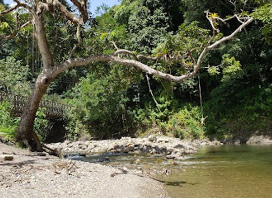 trinidad-and-tobago/mayaro/attraction/shark-river