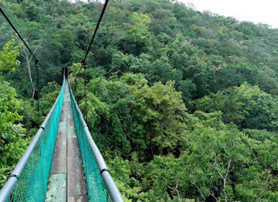 guatemala/flores/attraction/ixpanpajul