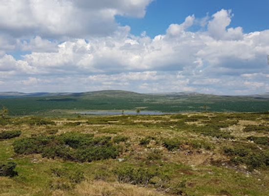 norway/oppland/attraction/hogasen