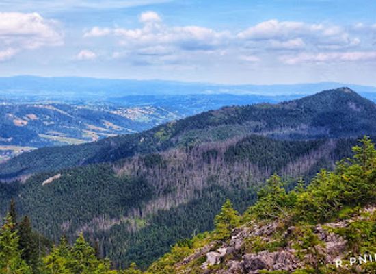 poland/tatra-mountains/attraction/dolina-filipka