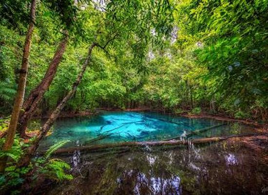 thailand/krabi/attraction/emerald-pool