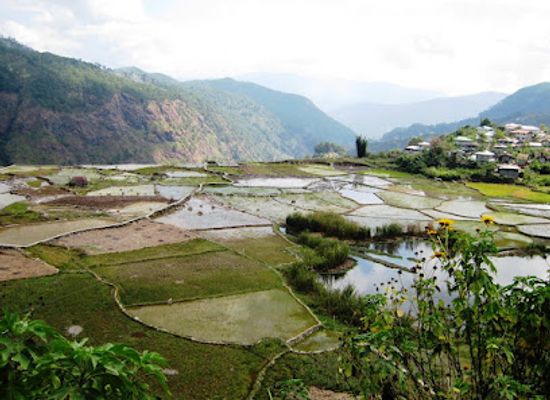 philippines/sagada/attraction/aguid-rice-terraces