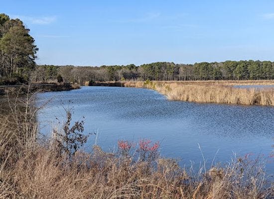 maryland/eastern-shore/attraction/harriet-tubman-underground-railroad-national-historical-park