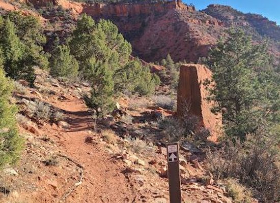 utah/kanab/attraction/toms-canyon-trailhead
