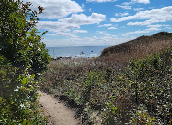 rhode-island/block-island/attraction/clay-head-nature-trail
