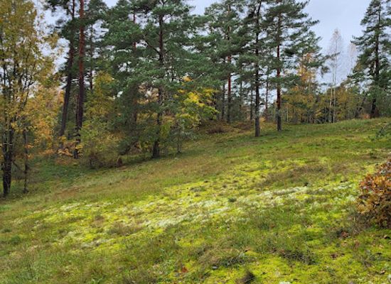 estonia/saaremaa/attraction/lihulinn