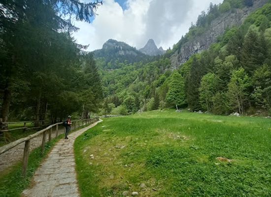 italy/alta-valtellina/attraction/foresta-dei-bagni-di-masino