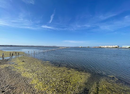 bulgaria/black-sea-coast/attraction/lake-pomorie