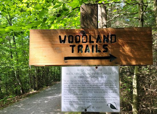west-virginia/mountaineer-country/attraction/fairy-garden