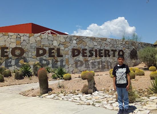 mexico/central-mexico/attraction/museo-del-desierto