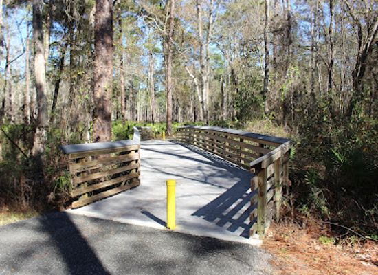 florida/suwannee-river/attraction/big-shoals-state-forest