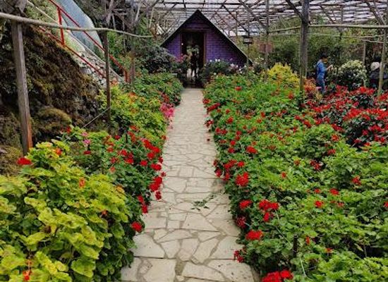 malaysia/cameron-highlands/attraction/rose-valley