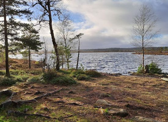 sweden/halland/attraction/komosse-naturreservat