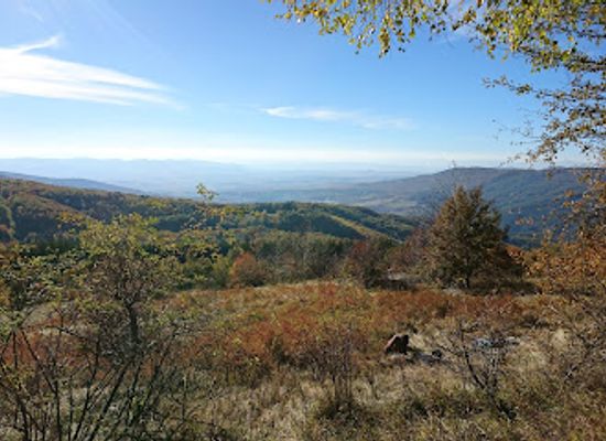 bulgaria/rila/attraction/arboretum