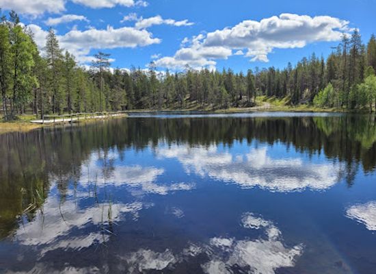 finland/ylläs/attraction/salla-wilderness-park-salla-reindeer-park