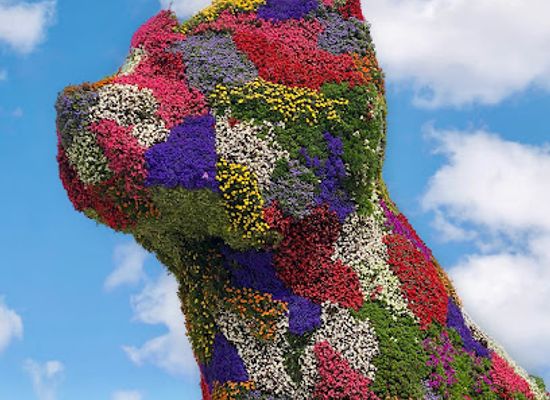 spain/bilbao/ensanche/attraction/puppy