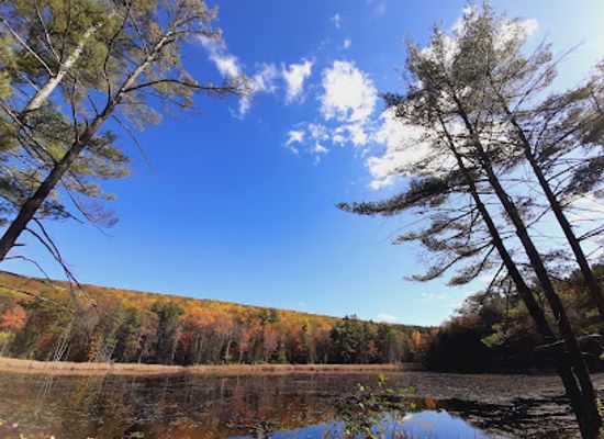 massachusetts/berkshires/attraction/fountain-pond-state-park