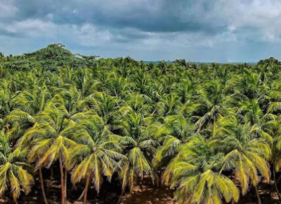 liberia/harper/attraction/putukeh-beach