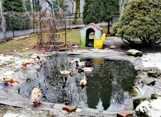poland/silesia/attraction/mini-zoo