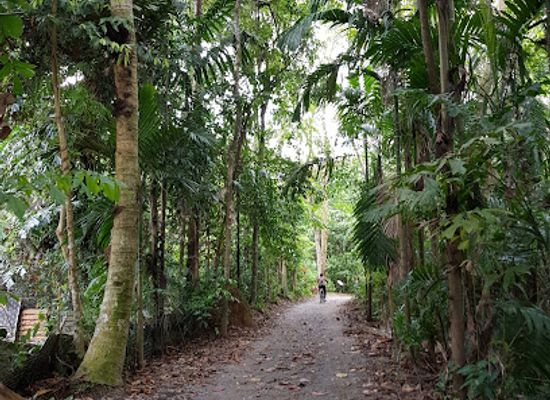 singapore/pulau-ubin/attraction/sensory-trail