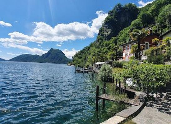 switzerland/lugano/attraction/sentiero-dell-olivo