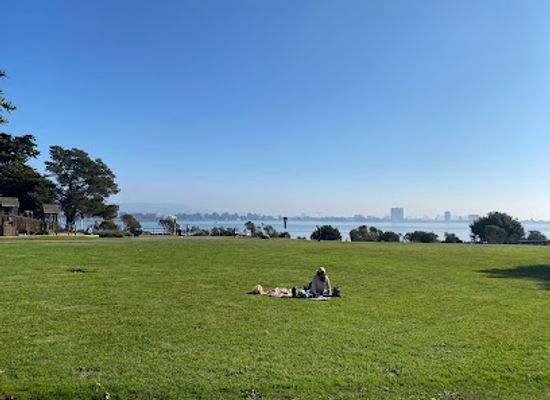 california/berkeley/uc-berkeley-campus/attraction/shorebird-park-nature-center