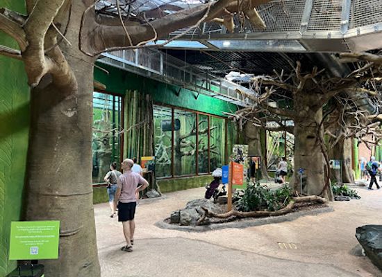 maryland/baltimore/attraction/chimpanzee-forest