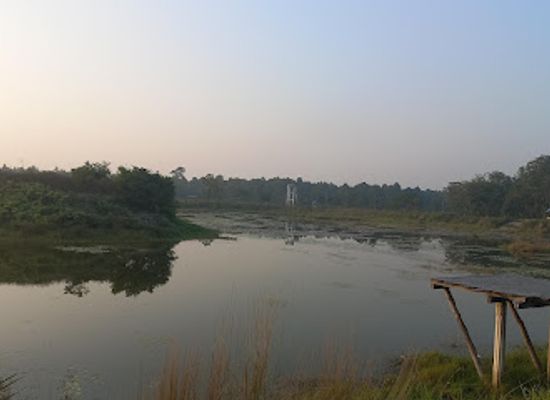 nepal/terai/attraction/dhanushadham-protected-forest