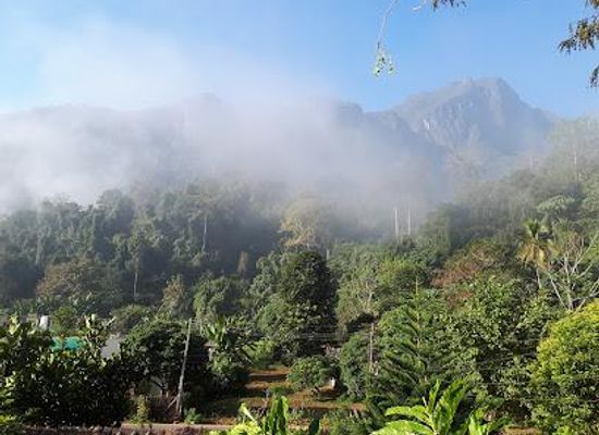 thailand/pai/attraction/chiang-dao-wildlife-sanctuary