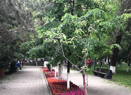 romania/botosani/attraction/parcul-sucevei