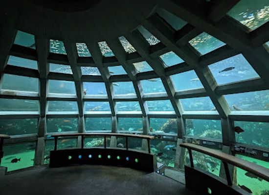 washington/puget-sound/attraction/seattle-aquarium