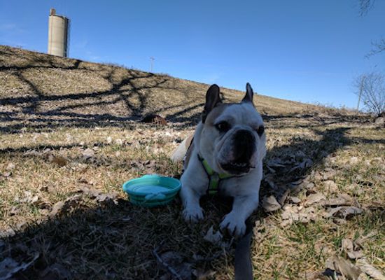 north-dakota/drift-prairie/attraction/unicorn-park
