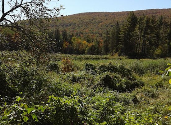vermont/camel-s-hump-state-park/attraction/the-morrison-place