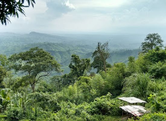 bangladesh/sajek-valley/attraction/ruilui-tripuri-para