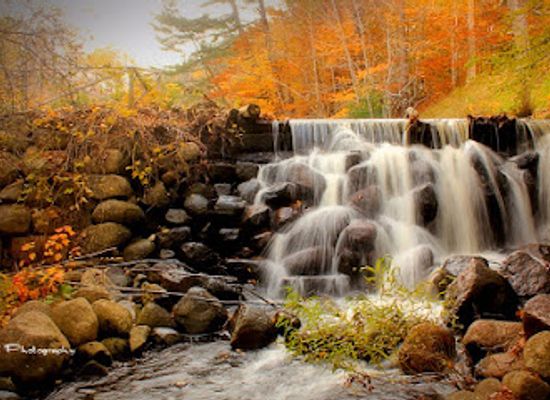 canada/annapolis-valley/attraction/wile-carding-mill-museum