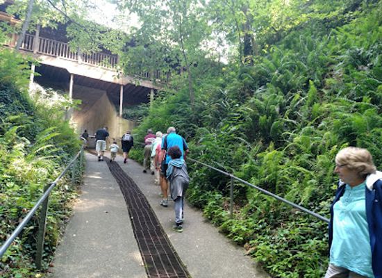 indiana/west-central-indiana/attraction/bluespring-caverns-park