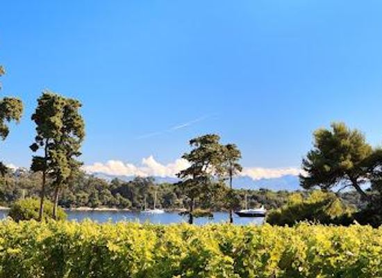 france/cannes/attraction/abbaye-de-lerins
