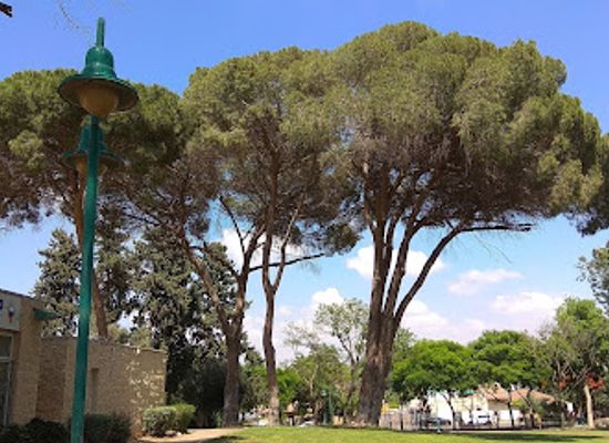 israel/hadera/attraction/kaplan-garden