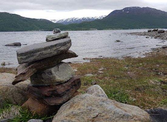norway/finnmark/attraction/vidda-runners-huskies