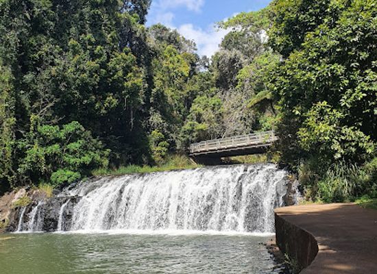 australia/atherton-tablelands/attraction/malanda-falls