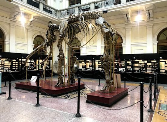 italy/genoa/attraction/museum-of-natural-history-giacomo-doria