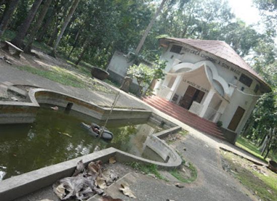 haiti/nord/attraction/musee-dr-hodges